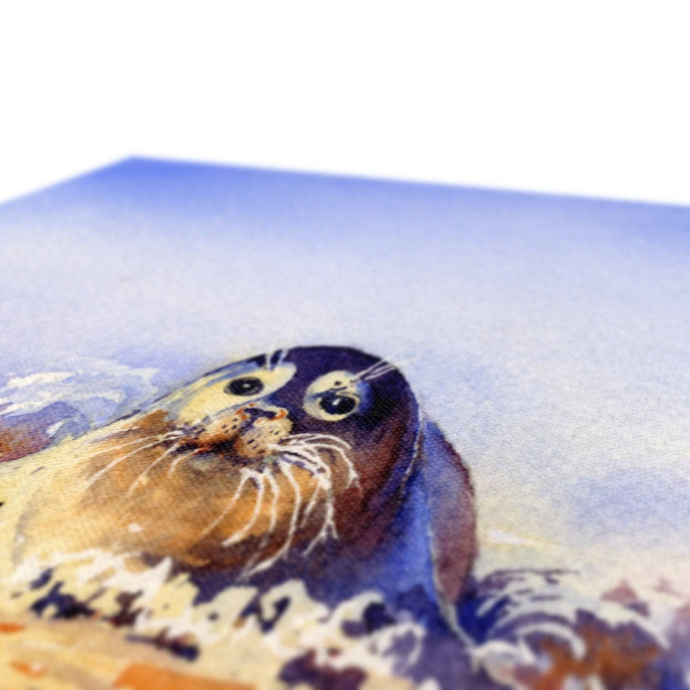 Seal Canvas