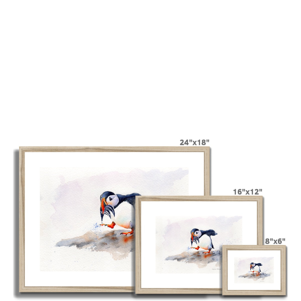 Puffin Framed & Mounted Print