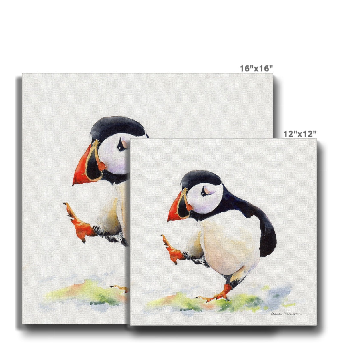 Puffin Too Canvas