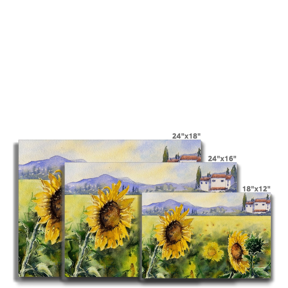 Sunflowers Canvas