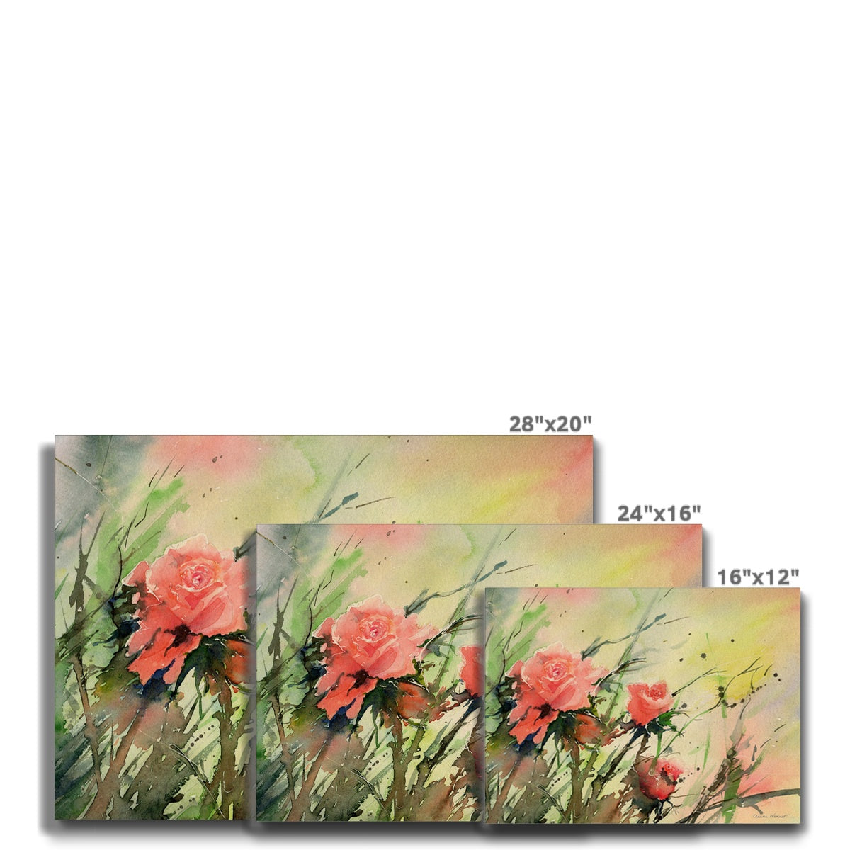 Roses Canvas