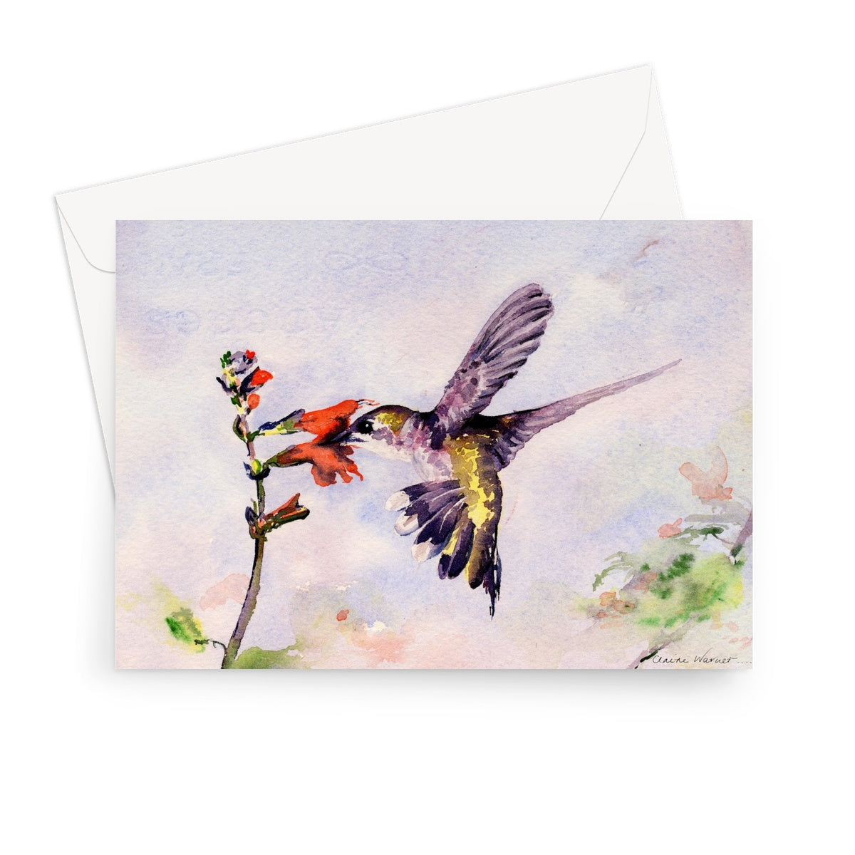 Hummingbird Greeting Card