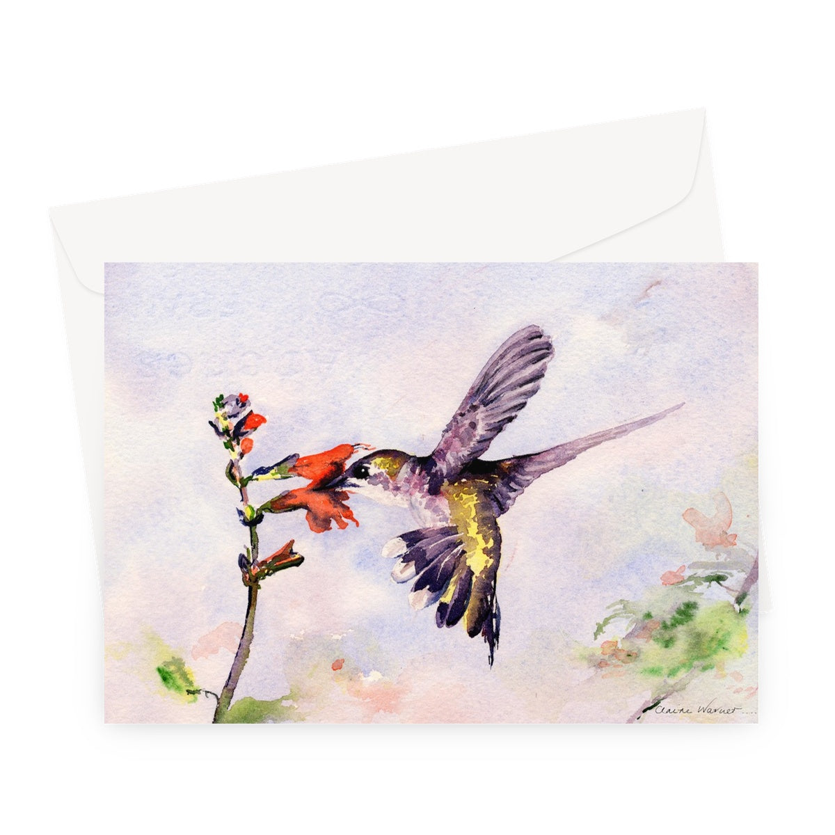 Hummingbird Greeting Card