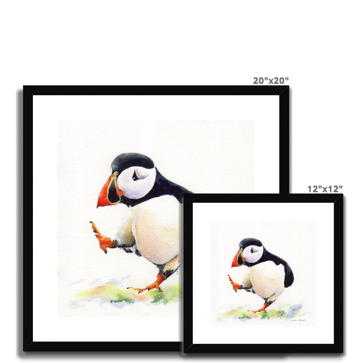 Puffin Too Framed & Mounted Print