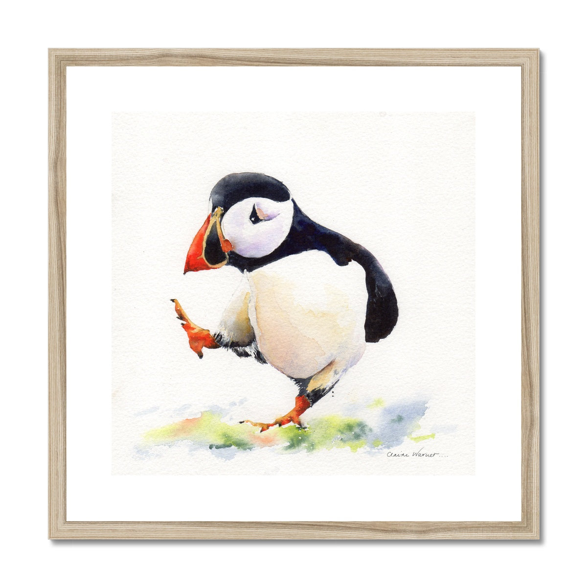 Puffin Too Framed & Mounted Print