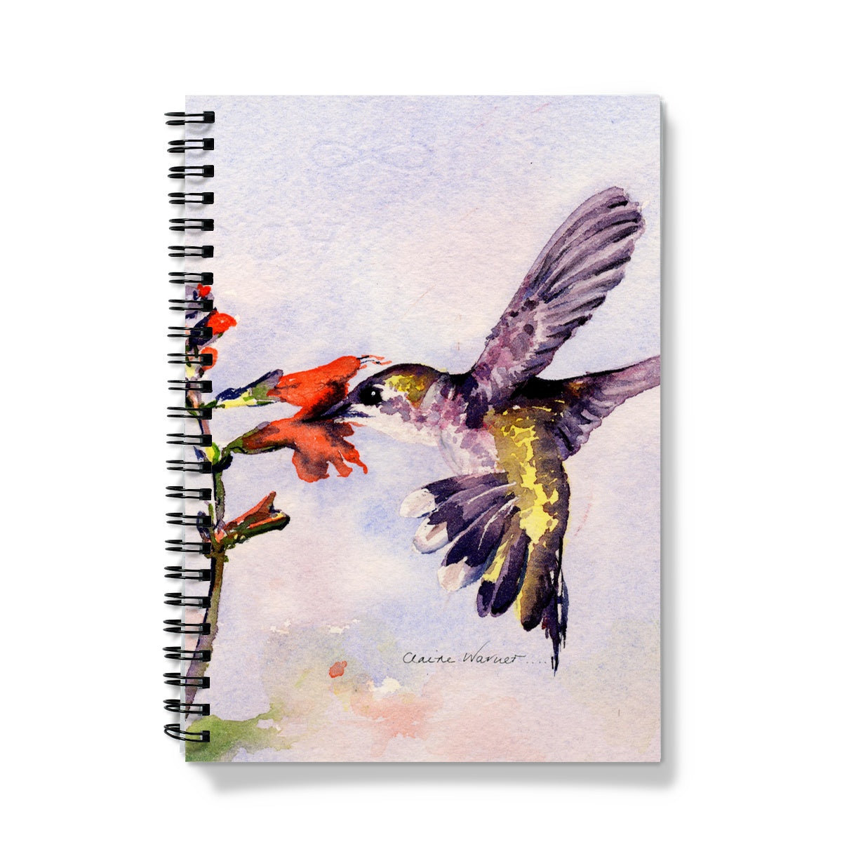 Hummingbird Notebook