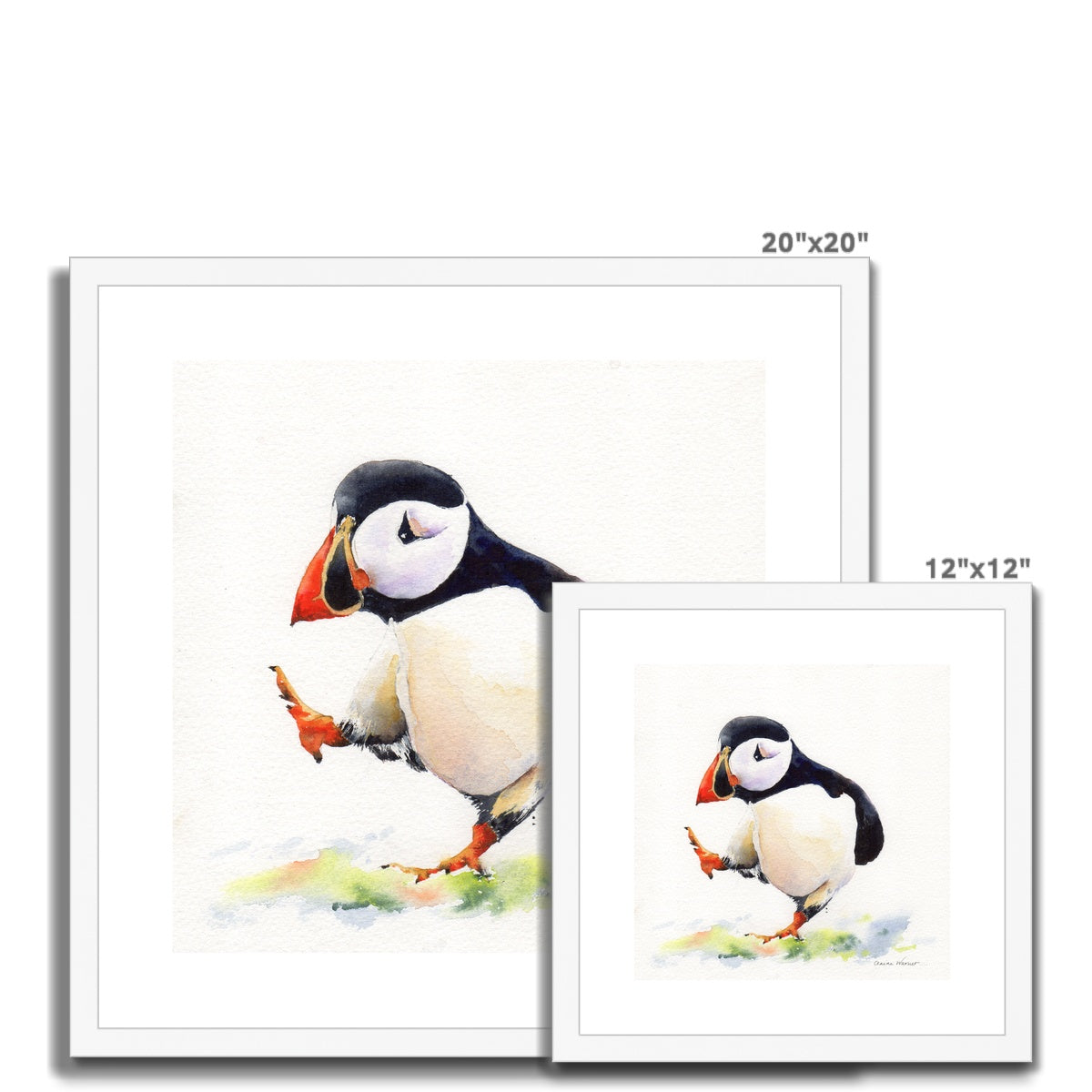 Puffin Too Framed & Mounted Print
