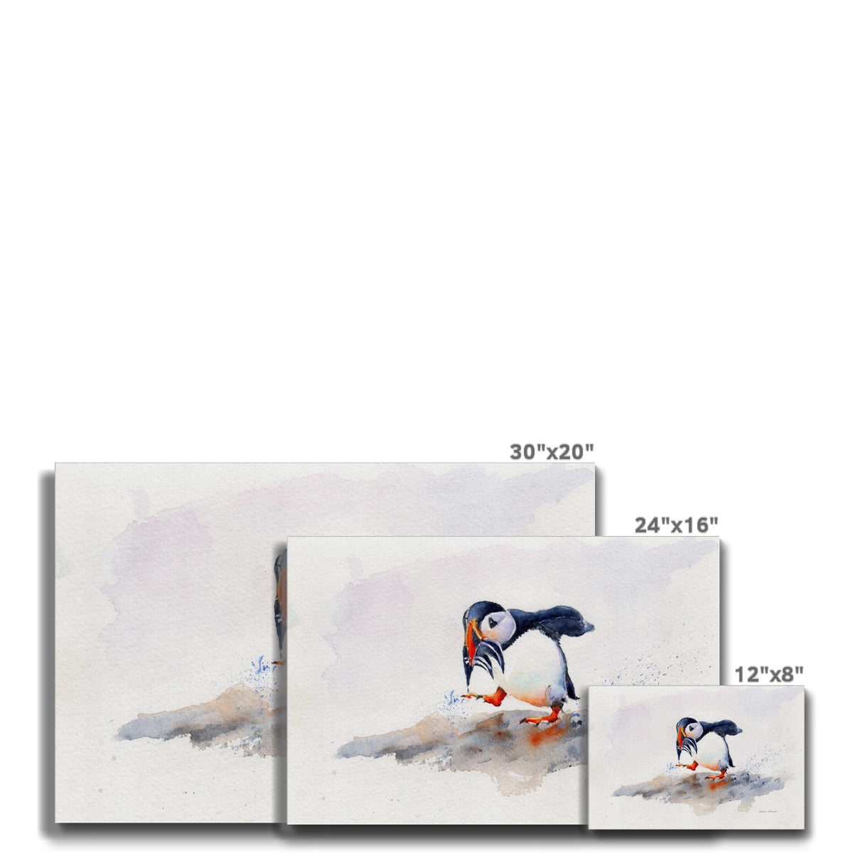Puffin Canvas