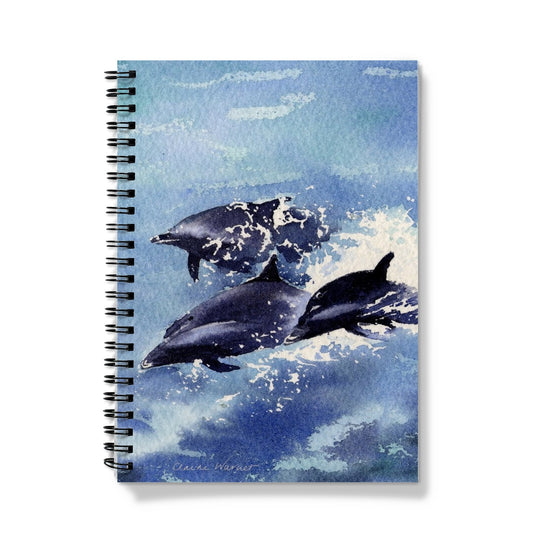 Dolphins Notebook