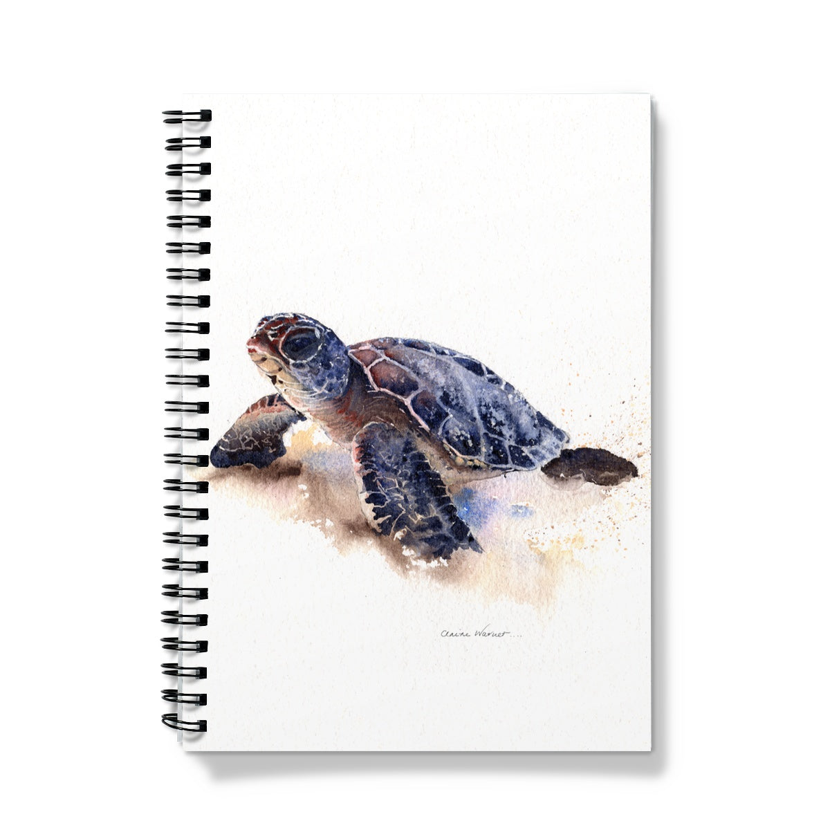 Turtle Notebook