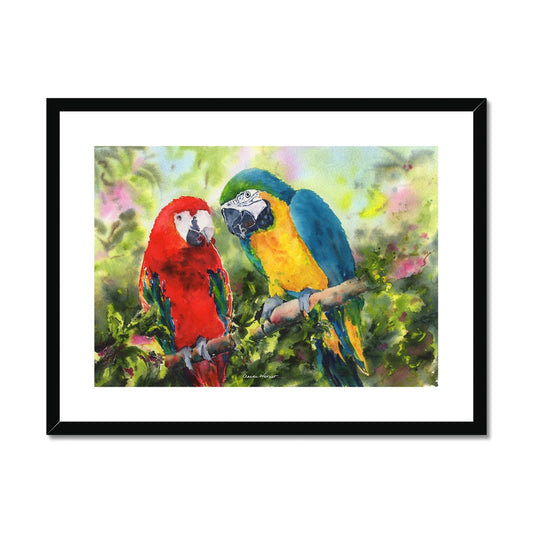 Parrots Framed & Mounted Print