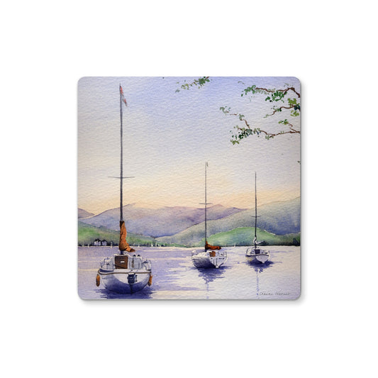 Boats at Ullswater  Coaster