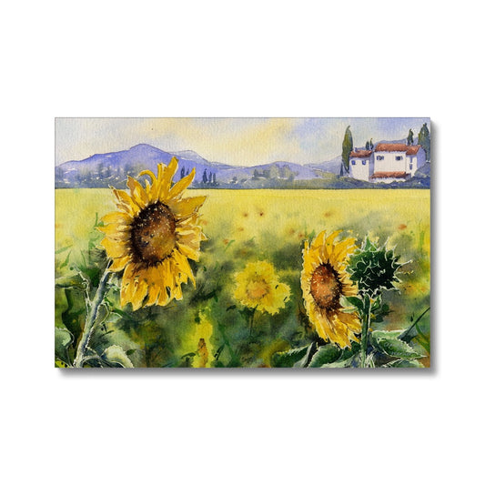 Sunflowers Canvas