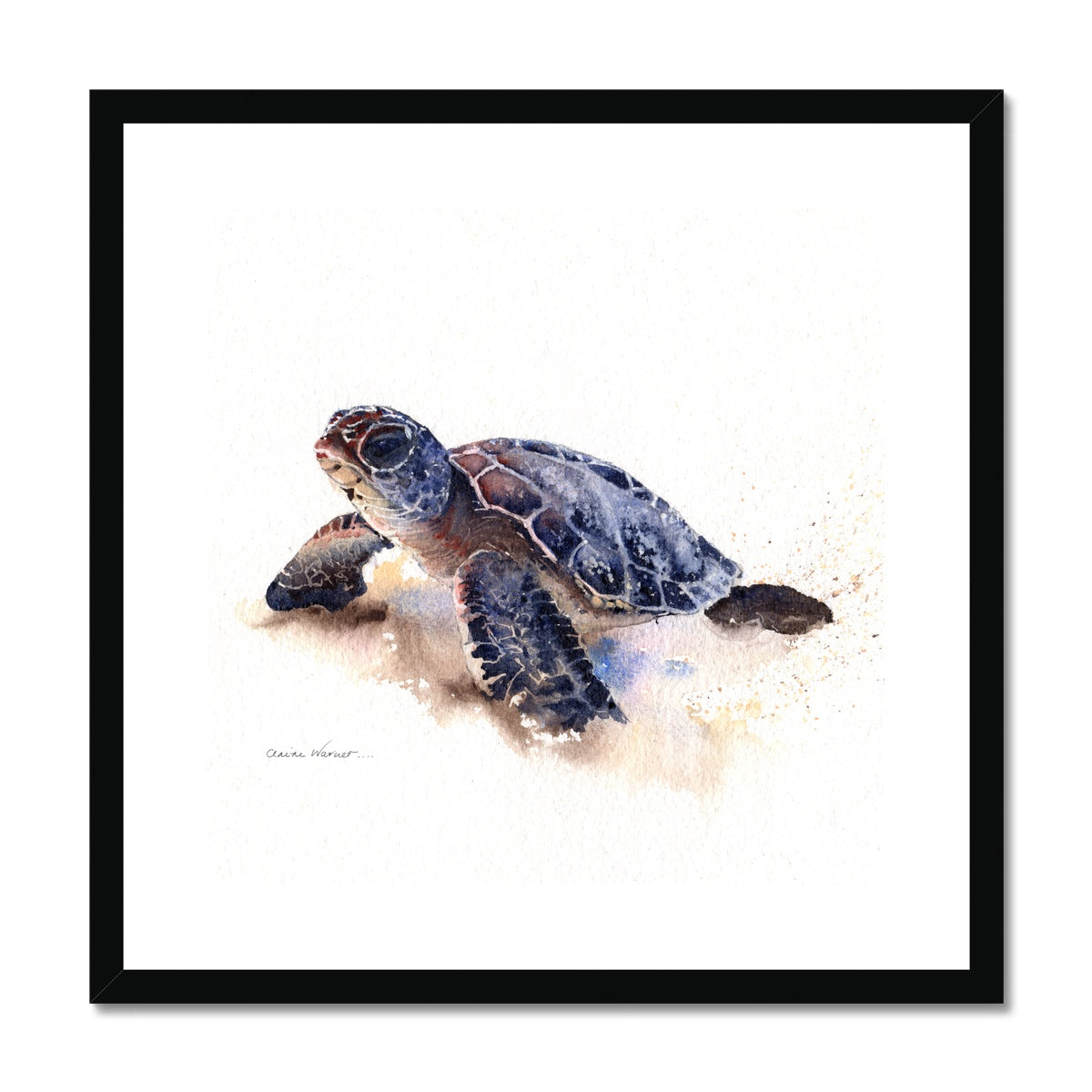 Turtle Framed & Mounted Print