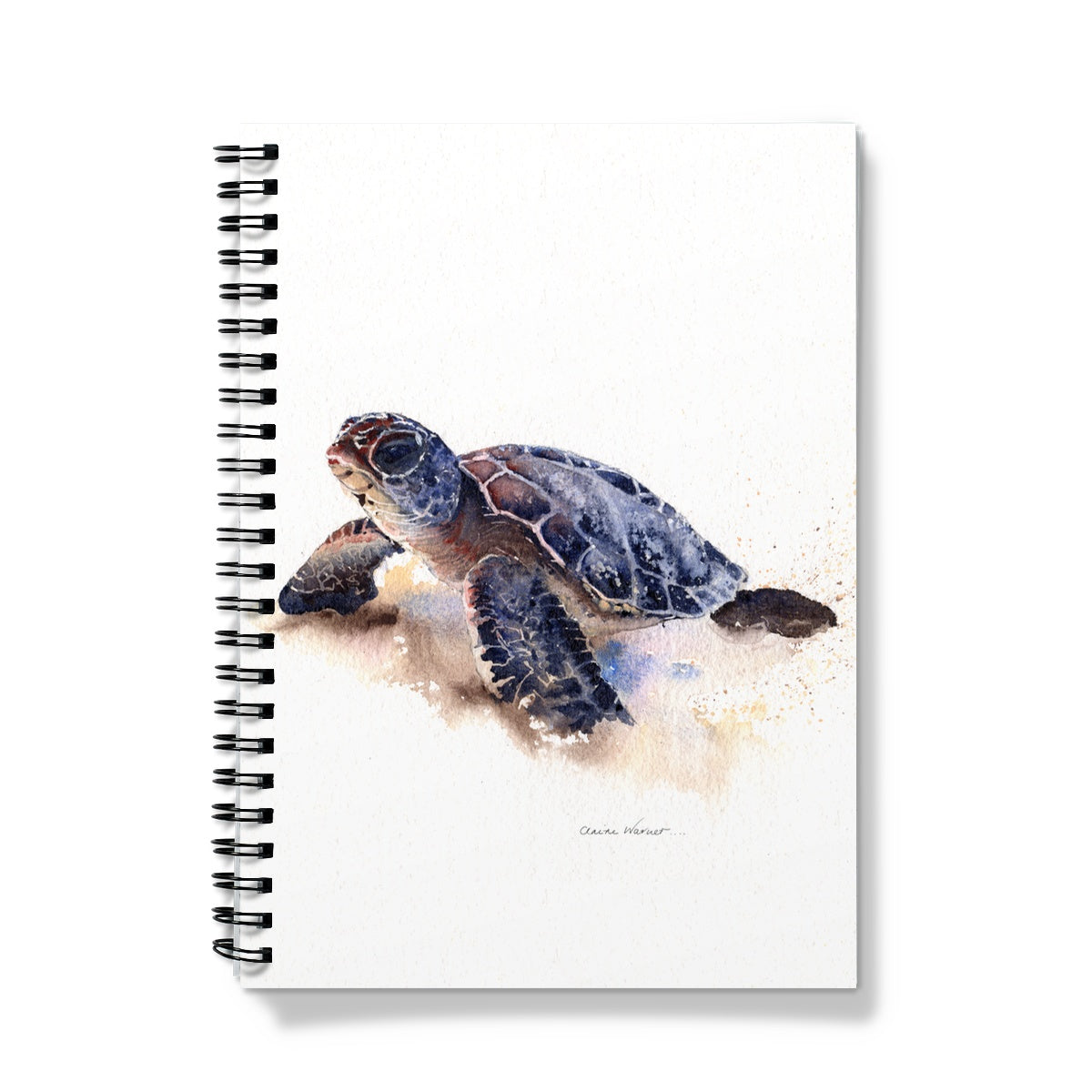 Turtle Notebook