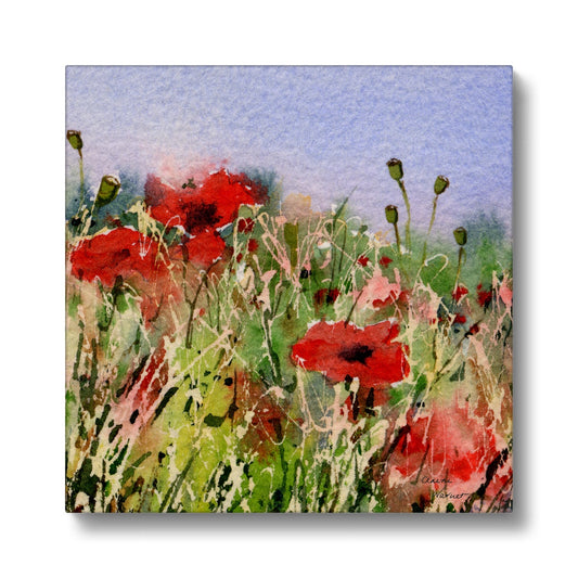 Poppies Canvas