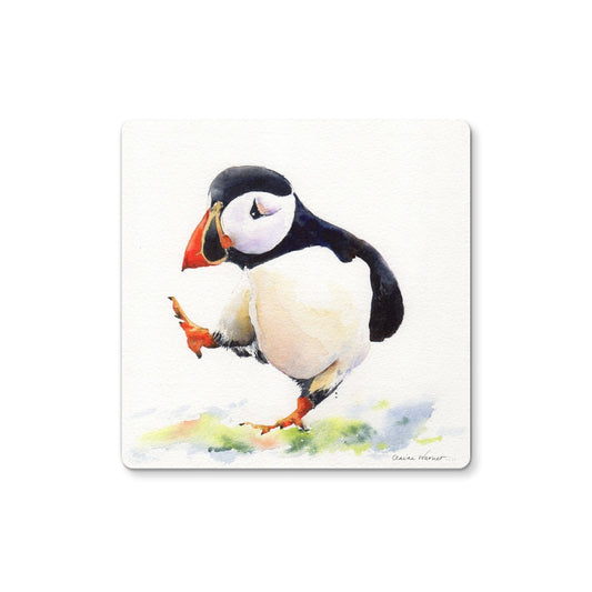 Puffin Too Coaster