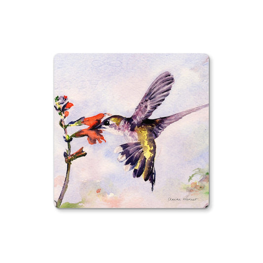 Hummingbird Coaster