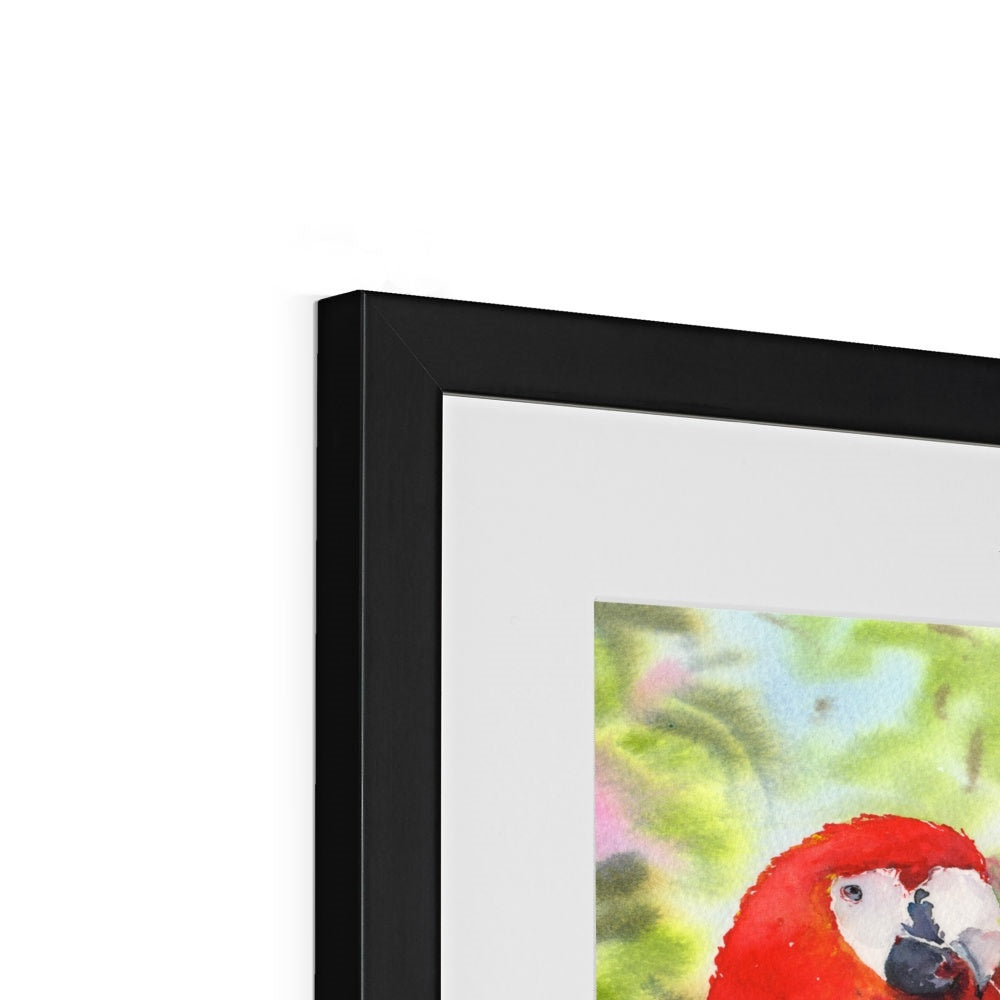 Parrots Framed & Mounted Print