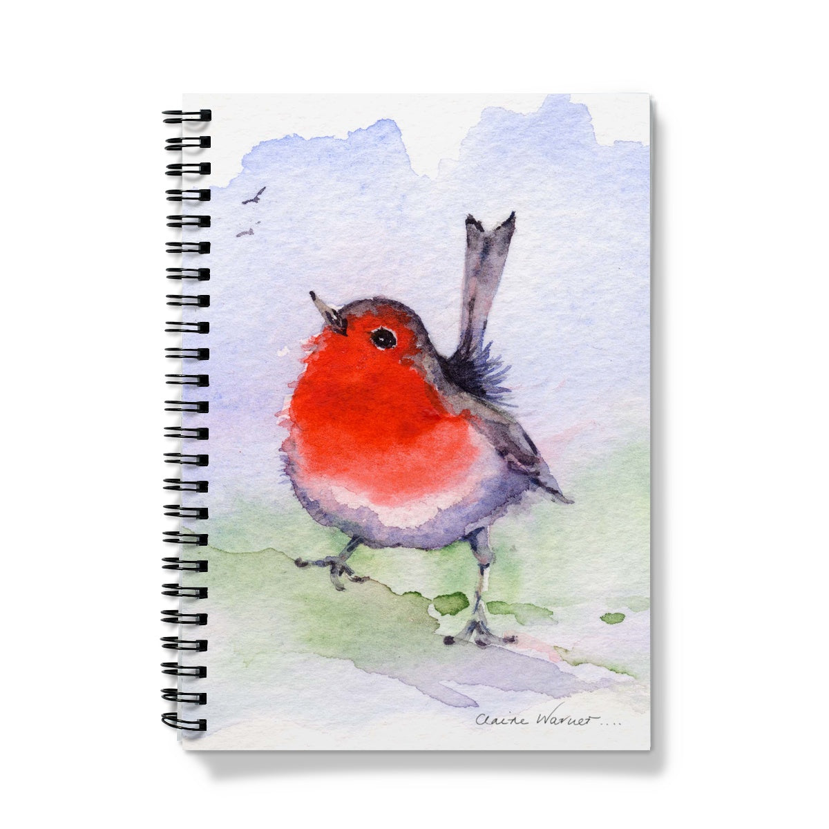 Robin Notebook